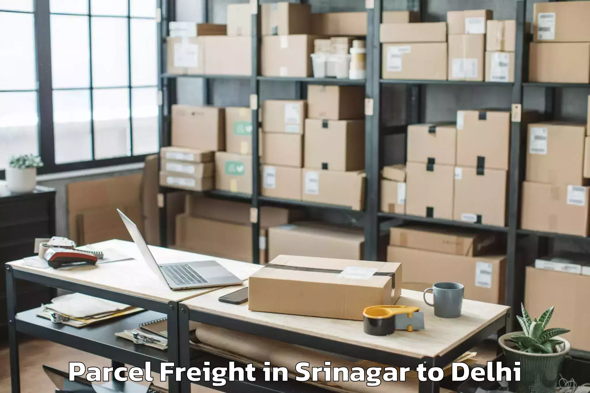 Efficient Srinagar to Kalkaji Parcel Freight